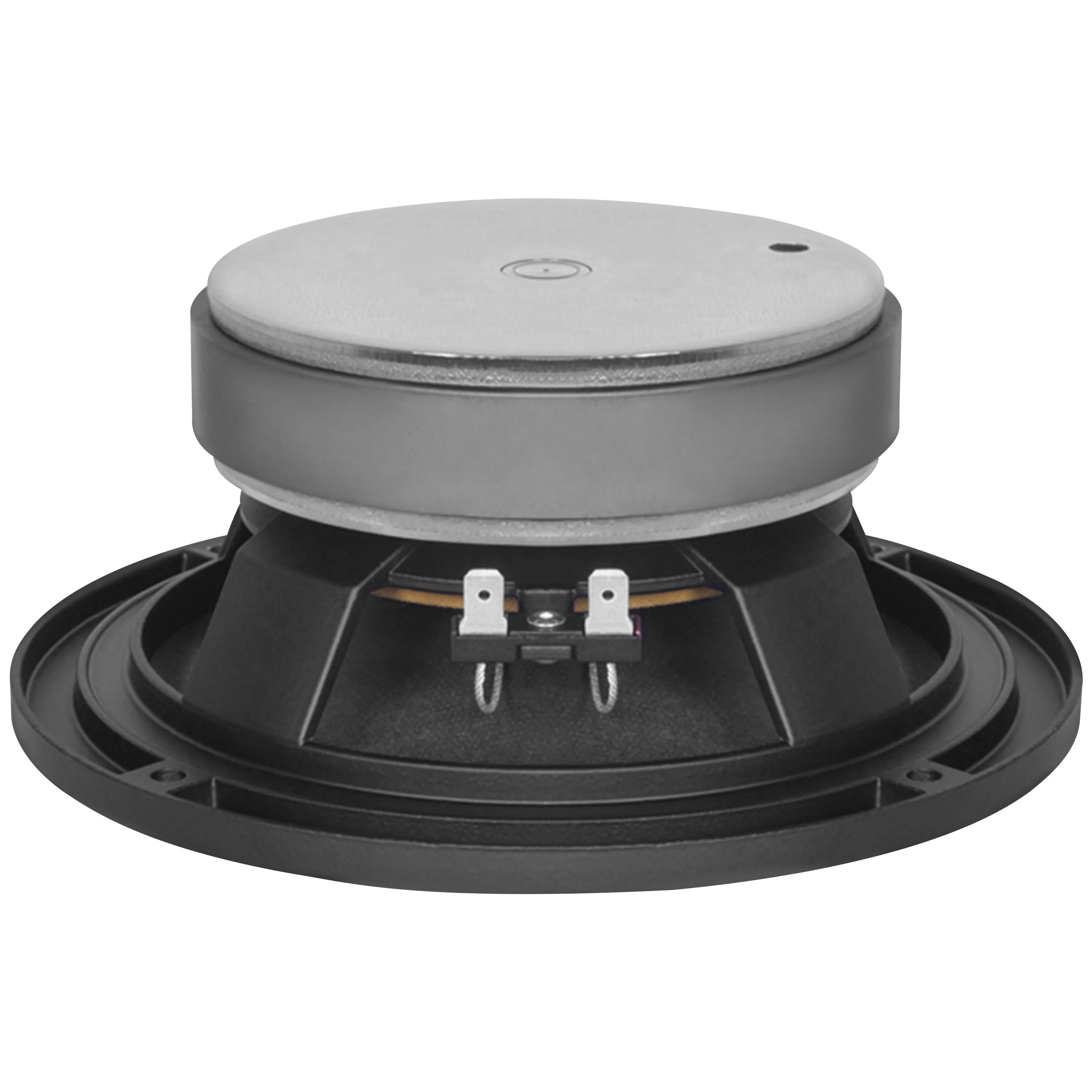 B&C Speakers | 6PEV13 8 Ohm