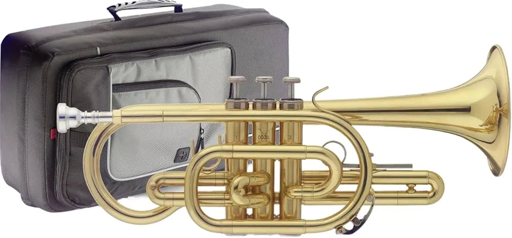 Stagg | WS-CR215S | Si bémol avec étui souple