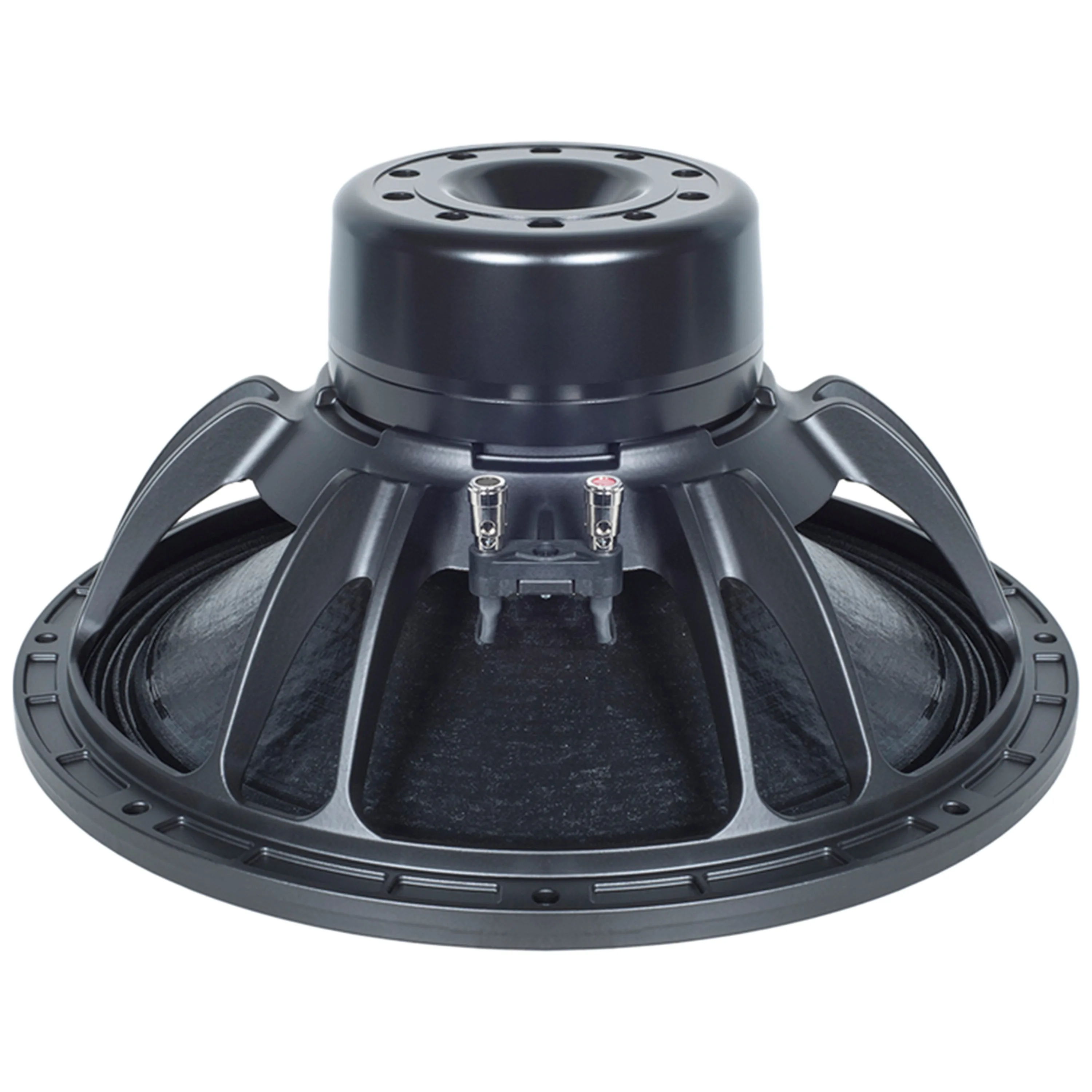 B&C Speakers | 15 DS 100
