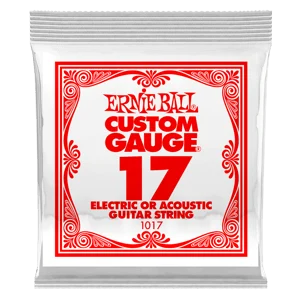 Ernie Ball | Plain Steel .010 | À l'unité