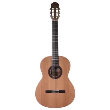 Prodipe Guitars | Recital 200