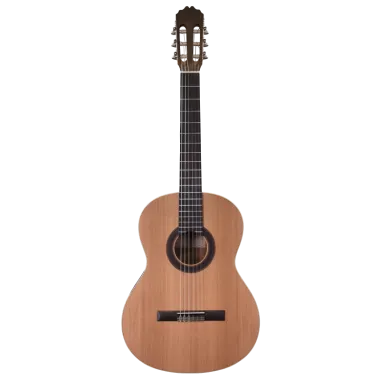 Prodipe Guitars | Recital 200
