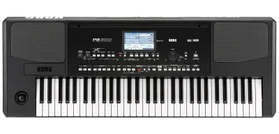 Korg | PA300 | Clavier Arrangeur Professionnel - Boîte Ouverte