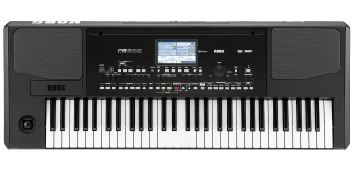 Korg | PA300 | Clavier Arrangeur Professionnel - Boîte Ouverte