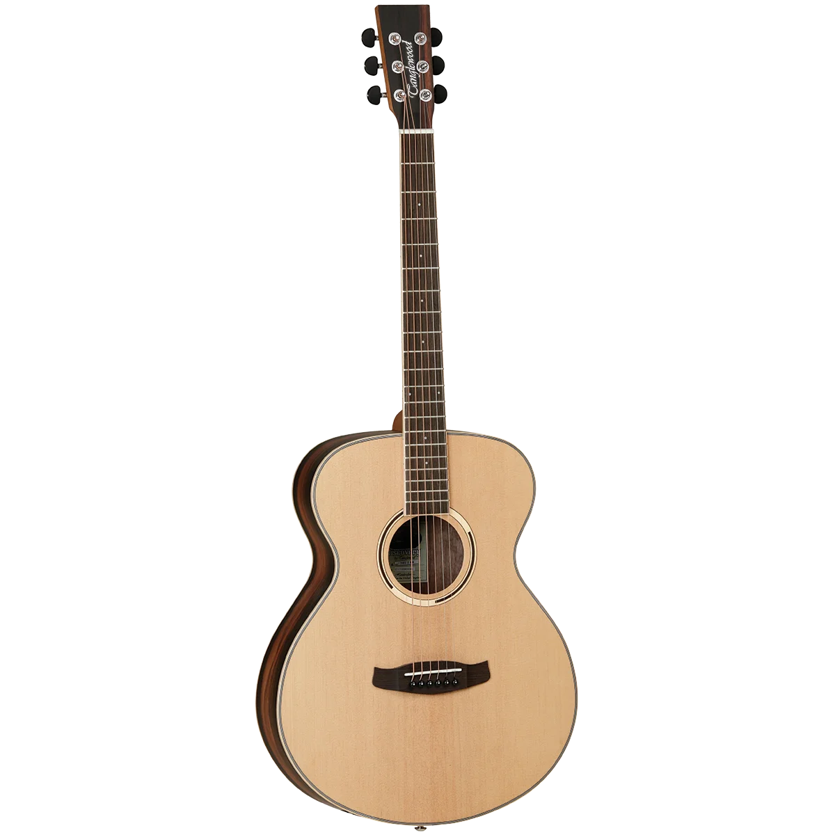 Tanglewood | DBT-F-EB Discovery Exotic Series | Ébène