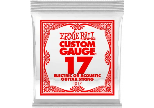 Ernie Ball | Plain Steel Single String .017 | À l'unité