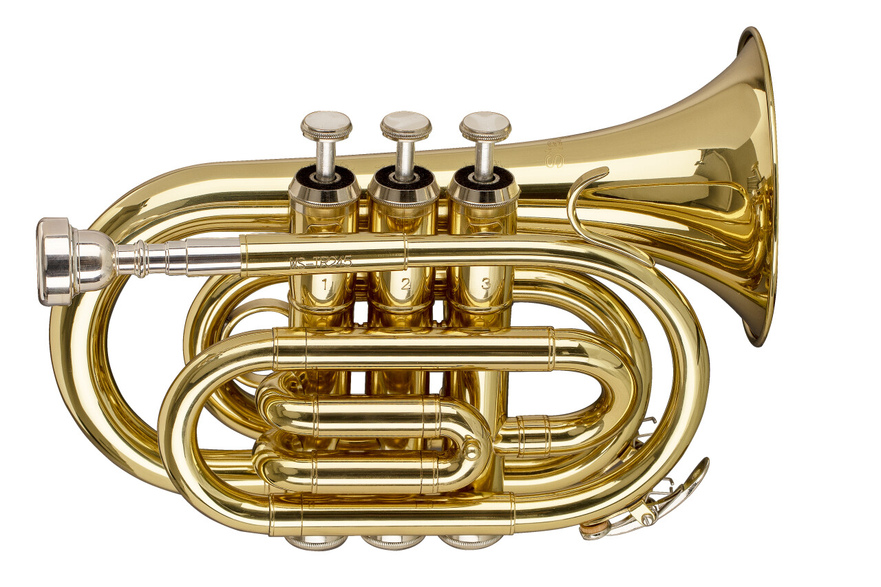 Stagg | WS-TR245S | Trompette de poche Sib ML laiton vernis